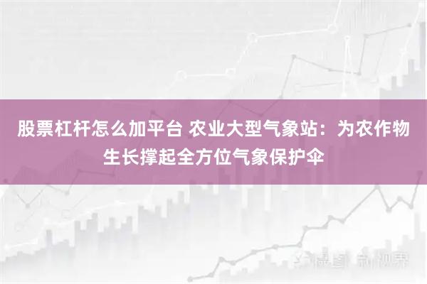 股票杠杆怎么加平台 农业大型气象站：为农作物生长撑起全方位气象保护伞