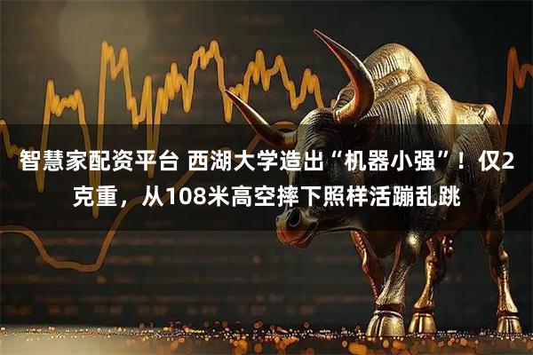 智慧家配资平台 西湖大学造出“机器小强”！仅2克重，从108米高空摔下照样活蹦乱跳