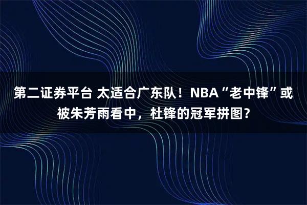第二证券平台 太适合广东队！NBA“老中锋”或被朱芳雨看中，杜锋的冠军拼图？