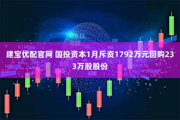 建宝优配官网 国投资本1月斥资1792万元回购233万股股份