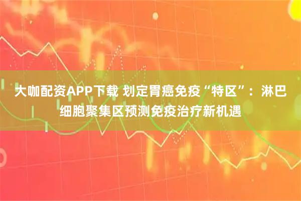大咖配资APP下载 划定胃癌免疫“特区”：淋巴细胞聚集区预测免疫治疗新机遇
