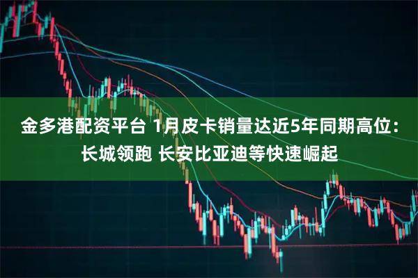 金多港配资平台 1月皮卡销量达近5年同期高位：长城领跑 长安比亚迪等快速崛起
